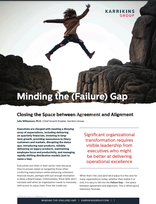 minding the failure gap pdf