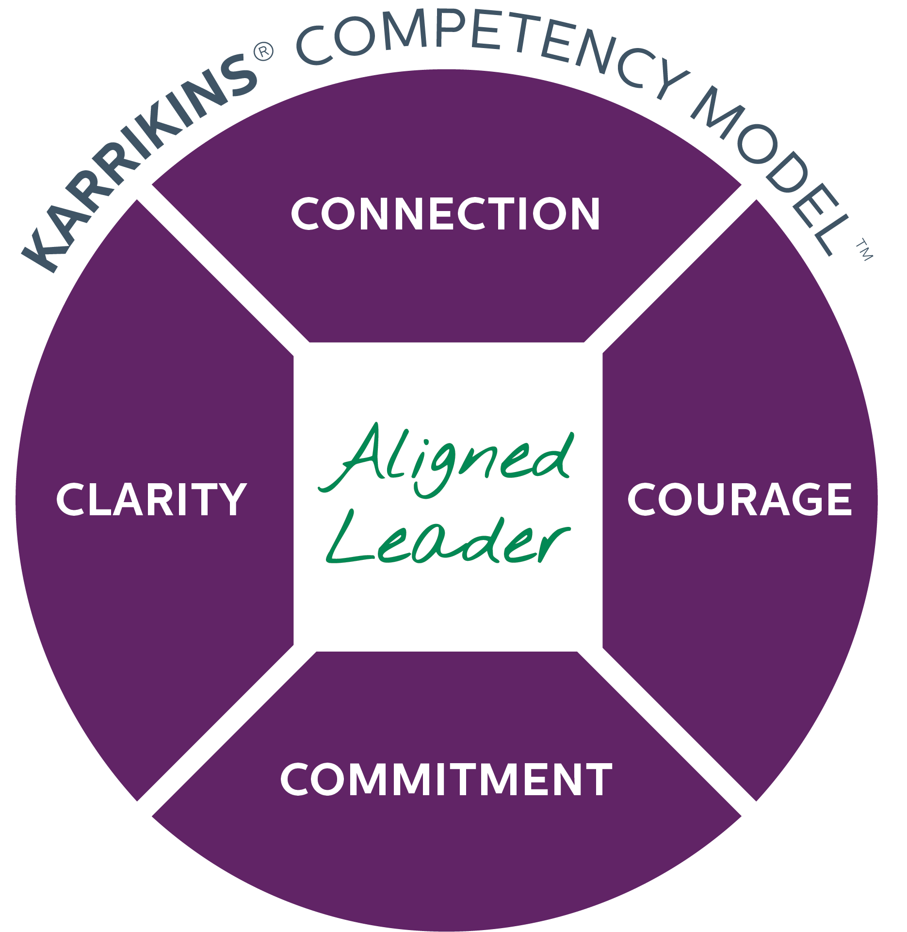 Graphic of the KARRIKINS Competency Model