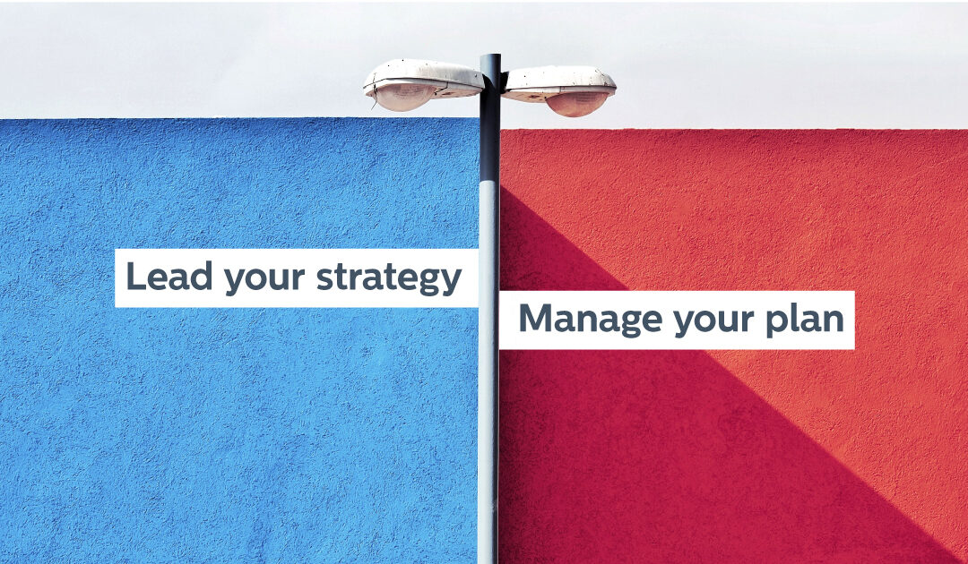 Lead Your Strategy / Manage Your Plan
